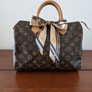 Louis Vuitton Speedy 30 Monogram